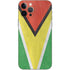 Guyana Flag Distressed iPhone 12 Pro Skin