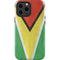 Guyana Flag Distressed iPhone 14 Pro Max Impact Case