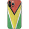 Guyana Flag Distressed iPhone 14 Pro Max Skin