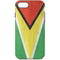 Guyana Flag Distressed iPhone 8 Pro Case