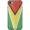 Guyana Flag Distressed iPhone SE (2nd & 3rd Gen) Pro Case