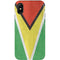 Guyana Flag Distressed iPhone X Pro Case