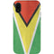 Guyana Flag Distressed iPhone XR Pro Case