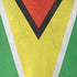 Guyana Flag Distressed iPhone XR Skin