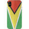 Guyana Flag Distressed iPhone XS Pro Case