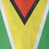 Guyana Flag Distressed iPhone XS Skin