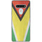 Guyana Flag Distressed LG Stylo 6 Clear Case