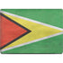 Guyana Flag Distressed MacBook Pro 14in (2021-24) Skin