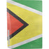 Guyana Flag Distressed PS5 Console Skin