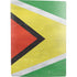 Guyana Flag Distressed PS5 Digital Edition Bundle Skin