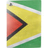 Guyana Flag Distressed PS5 Digital Edition Console Skin