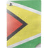 Guyana Flag Distressed PS5 Digital Edition Console Skin