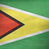 Guyana Flag Distressed Surface Book 2 13.5in Skin