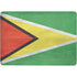 Guyana Flag Distressed Surface Laptop Studio Skin