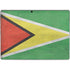 Guyana Flag Distressed Surface Pro 8 Skin