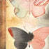 Haiku Butterfly iPhone XR Skin