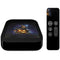 Halloween Cat and Jack O Lantern Pumpkin by Sarah Richter Apple TV Skin