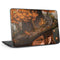 Halloween Pumpkin Witch with Fox by Ivy Dolamore HP Chromebook Skin