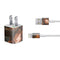 Halloween Pumpkin Witch with Fox by Ivy Dolamore iPhone Charger (5W USB) Skin