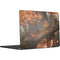 Halloween Pumpkin Witch with Fox by Ivy Dolamore MacBook Air 15 in (2023) Skin