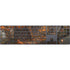 Halloween Pumpkin Witch with Fox by Ivy Dolamore Magic Keyboard with Numeric Keypad Skin
