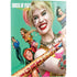 DC Comics Harley Quinn Birds of Prey Movie Poster PS5 Digital Edition Bundle Skin