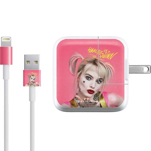 DC Comics Harley Quinn Movie Character Poster iPad Charger (10W USB) Skin