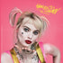 DC Comics Harley Quinn Movie Character Poster PS4 Slim Skin
