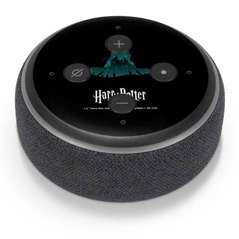 Wizarding World Harry Potter Hats and Hogwarts Amazon Echo Dot Skin