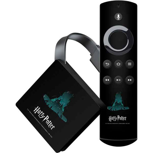 Wizarding World Harry Potter Hats and Hogwarts Amazon Fire TV Skin