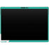 Disney Moana Heihei and Pua Surface Pro 9 Skin