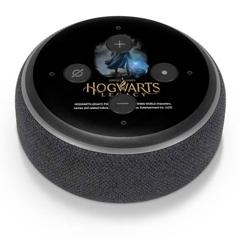 Wizarding Worlds Hogwarts Legacy Character art Amazon Echo Dot Skin