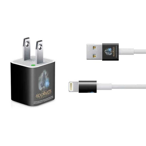 Wizarding Worlds Hogwarts Legacy Character art iPhone Charger (5W USB) Skin