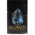Wizarding Worlds Hogwarts Legacy Character art PS5 Slim Digital Edition Bundle Skin