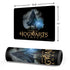 Wizarding Worlds Hogwarts Legacy Character art Gaming Mouse Pad