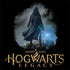 Wizarding Worlds Hogwarts Legacy Character art HP Spectre Skin