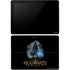 Wizarding Worlds Hogwarts Legacy Character art Surface Go Skin