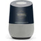 Wizarding World Hogwarts Legacy Emblem Google Home Skin