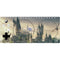 Wizarding World Hogwarts Legacy Main Poster Xbox Adaptive Controller Skin