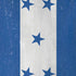 Honduras Flag Distressed iPhone XS Pro Case