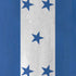 Honduras Flag Distressed Moto E5 Play Skin