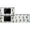 Cat Coq Honey Bee DS Lite Skin