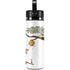 Disney Winnie the Pooh Honey Hive Hydro Flask 20oz Wide Mouth Skin