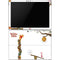 Disney Winnie the Pooh Honey Hive Surface Pro 6 Skin