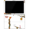 Disney Winnie the Pooh Honey Hive Surface Pro 7 Skin