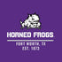 Horned Frogs Fort Worth Moto E5 Play Skin