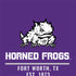 Texas Christian University Horned Frogs Fort Worth Otterbox Commuter Galaxy Skin