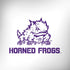 Texas Christian University Horned Frogs TCU Amazon Echo Skin