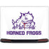 Horned Frogs TCU Legion Y720 Skin