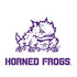 Texas Christian University Horned Frogs TCU Otterbox Commuter Galaxy Skin